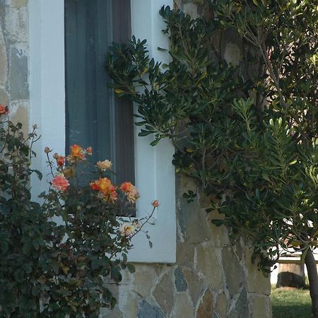 Bed and Breakfast Mavikarga Bozcaada Exterior foto