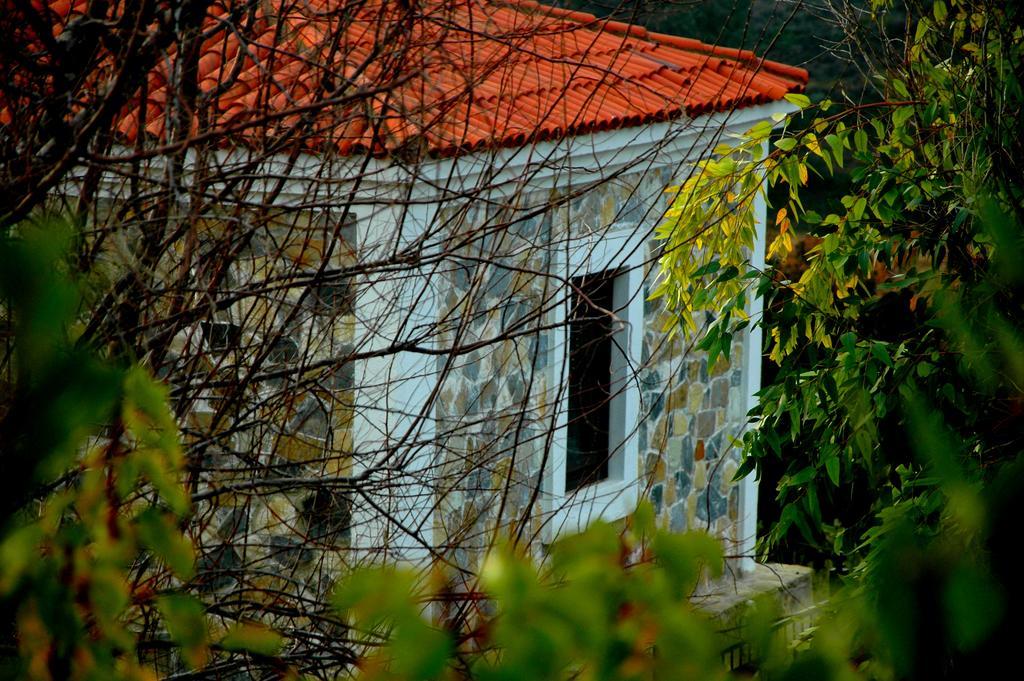Bed and Breakfast Mavikarga Bozcaada Exterior foto